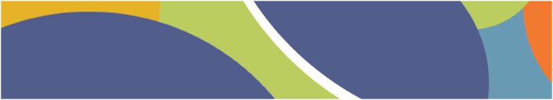 Center for Educational Networks and Impacts