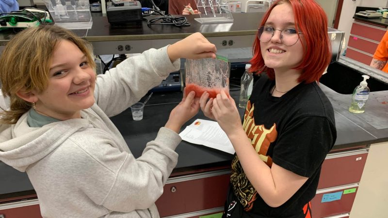Two girls hold a clear bag with mashed up strawberries inside.