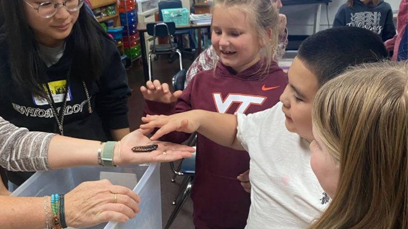 Second graders interact with a Madagascar hissing cockroach