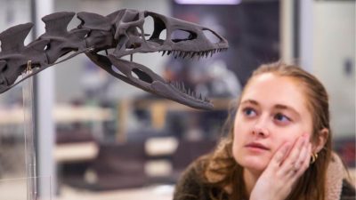 University Libraries Prototyping Studio resurrects dinosaur cousin skeletons bone by bone