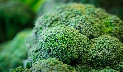Virginia Tech researchers receive National Science Foundation award to secure vegetable production in a changing environment